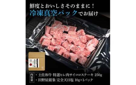 土佐和牛 特選ヒレ肉サイコロステーキ250g 田野屋銀象完全天日塩1P付き 特選 長期熟成肉 田野屋銀象 完全天日塩付き ヒレ肉 ステーキ 肉 お肉 和牛 牛肉 国産【株式会社LATERAL】 [BQAU048]