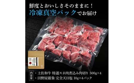 土佐和牛 特選スネ肉煮込み角切り 500g×4（田野屋銀象完全天日塩4P付き） 高知県土佐市 【株式会社LATERAL】 [BQAU047]