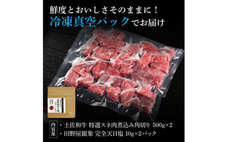 土佐和牛 特選スネ肉煮込み角切り500g×2 田野屋銀象完全天日塩2P付き 1kg 1キロ 長期熟成肉 田野屋銀象 完全天日塩付き スネ肉 煮込み 角切り 肉【株式会社LATERAL】 [BQAU046]