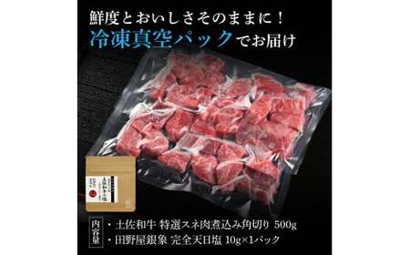 土佐和牛 特選スネ肉煮込み角切り500g 田野屋銀象完全天日塩1P付き 長期熟成肉 田野屋銀象 完全天日塩付き スネ肉 煮込み 角切り 肉 お肉 和牛 牛肉 国産 牛【株式会社LATERAL】 [BQAU045]