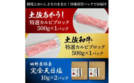 土佐あかうし＆土佐和牛2種食べ比べ 特選カルビブロック500g 計2P 田野屋銀象完全天日塩2P付 牛肉 肉 お肉 和牛 国産 牛 赤身 ヒレ カルビ ロース【株式会社LATERAL】 [BQAU072]