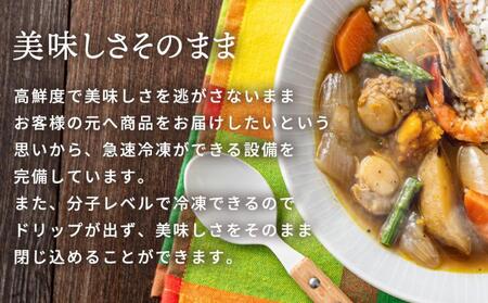 北海道 スープカレー & ライス セット （シーフード・チキン）2セット