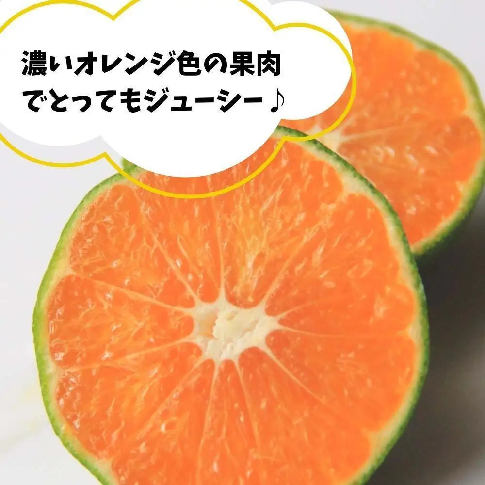 ゆら早生 みかん 箱込10kg (内容量 9.2kg)  SMLサイズのいずれか 秀品 優品 混合 有田みかん 和歌山県産 【みかんの会】［2026年10月下旬頃より順次発送予定］