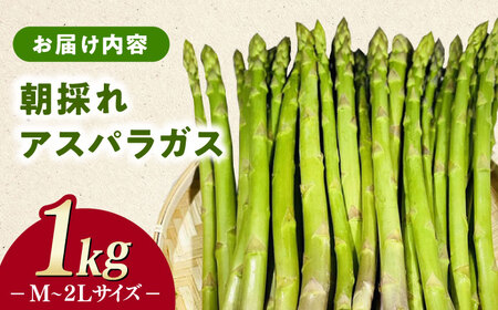 【3月中旬以降順次発送】朝採れアスパラガス１kg [WCT001] アスパラガス アスパラ  野菜 アスパラガス アスパラ  アスパラガス