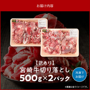 【訳あり品】宮崎牛 切り落とし1kg N0140-YA6612