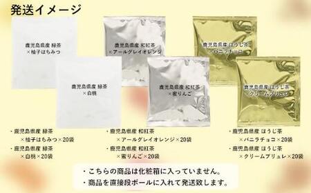 BS-043 鹿児島茶フレーバティーセット120袋（6種×20袋）