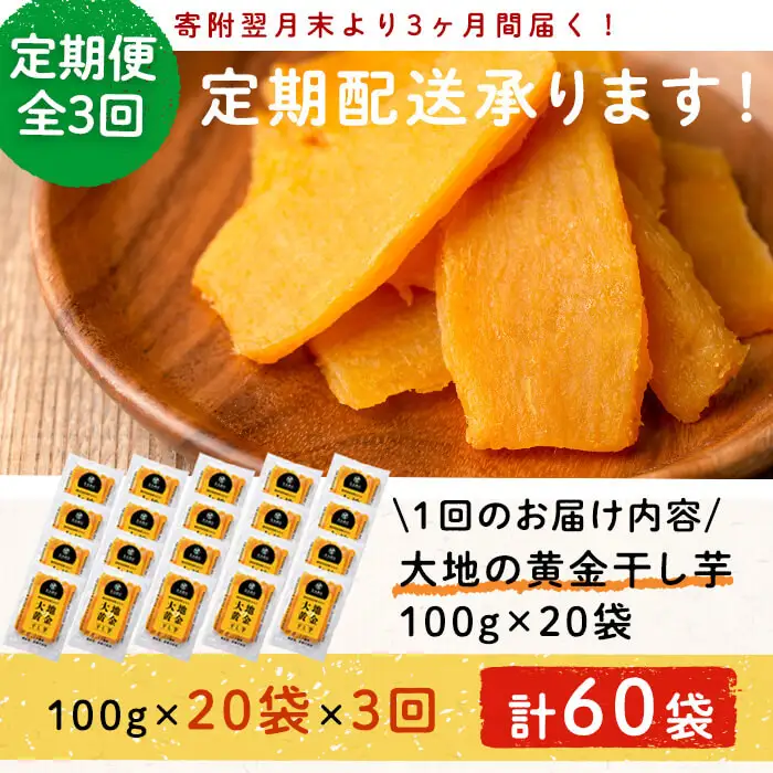 【定期便・全3回】大地の黄金干し芋 計6kg(100g×20袋×3回) さつまいも さつま芋 ほしいも 干しいも 紅はるか 国産 九州産 鹿児島県産 小分け スイーツ 干し芋 人気 常温 常温保存 定期便 t006-008