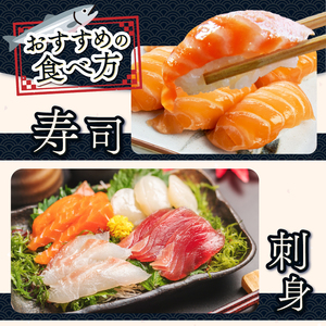 絶品！信州サーモン 切り身 刺身用 約150g × 2パック 計約300g
