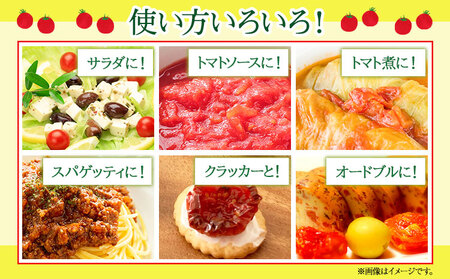 ぷりうまミニトマト ドライミニトマト セット 計900g トマト ミニトマト 野菜 GTOファーム 熊本県 南阿蘇村《2026年7月上旬-10月末頃出荷》