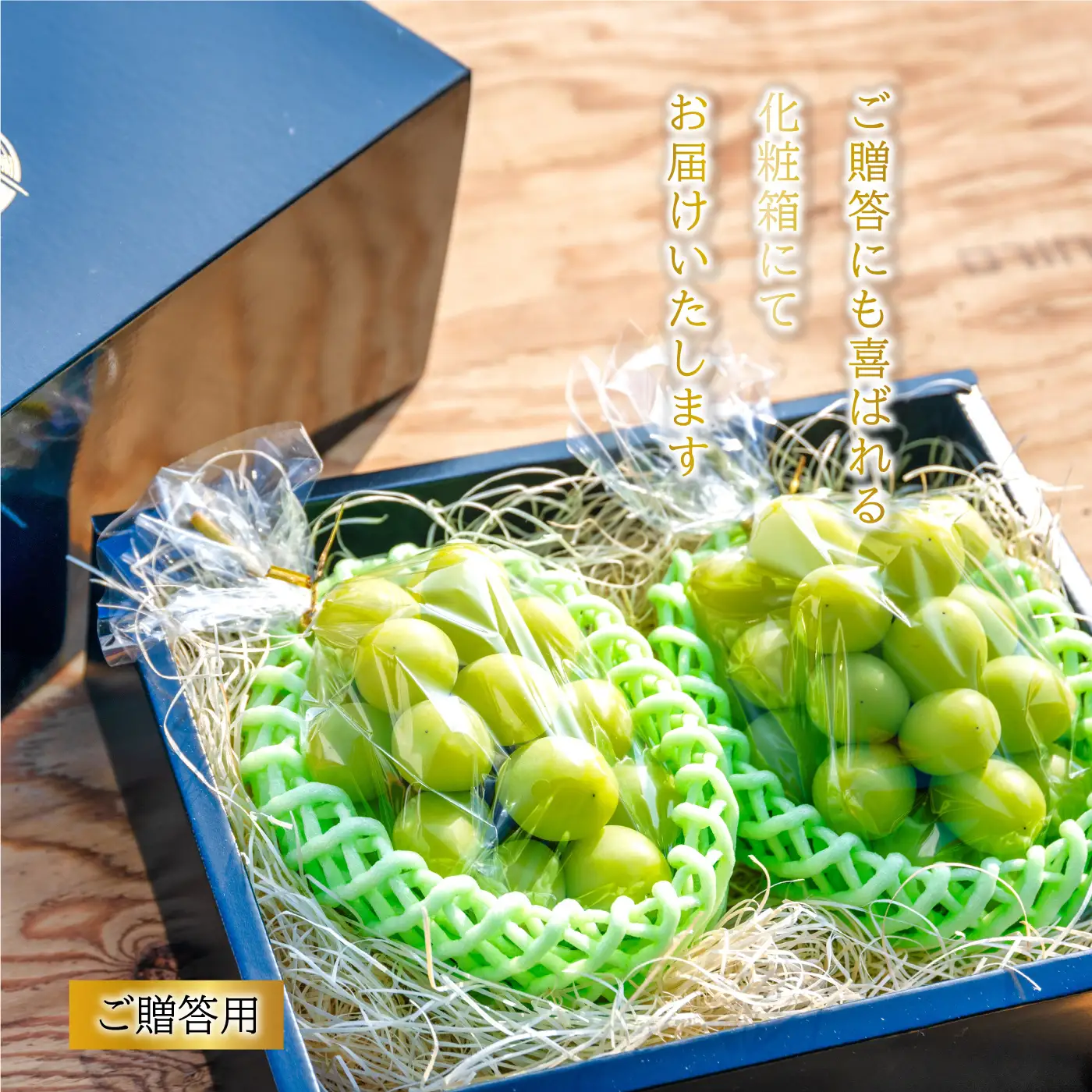 【先行予約】先行予約新鮮フルーツ シャインマスカット 1.2kg 果物 くだもの 化粧箱入り【9月中旬からお届け】