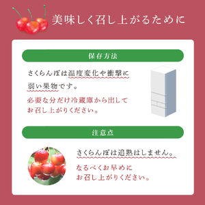 【 先行受付 】さくらんぼ サミット 1kg 500g×2パック 農林水産大臣賞 受賞 サクランボ チェリー 果物 果物類 フルーツ デザート 大粒 肉質 希少 北海道 芦別市