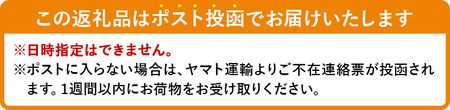干し芋 (100g×4P・計400g) さつまいも 紅はるか ねっとり 濃厚 国産 香川県産 産地直送 蜜 スイーツ おやつ 和菓子 常温【man206】【Bettim farm】