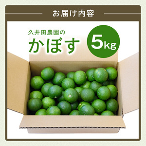 ＜先行予約受付中！2026年8月上旬以降順次発送予定＞かぼす(5kg)柑橘 かんきつ 大分県産直【112600100】【ａｎｄＫ】