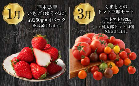 【年4回定期便】「くまもとの赤」定期便①  いちご （ゆうべに） ミニトマト （千果・カラフル2種）＋ 桃太郎トマト くまもとあか牛 クルマエビ 5種 フルーツくだもの 果物 苺 やさい 野菜 トマト 牛肉 肉 お肉 車エビ 海老 エビ 