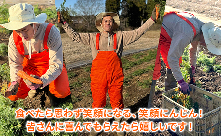 にんじんジュース「からだ　よろこぶ」720ml×3本　12ヶ月定期便 