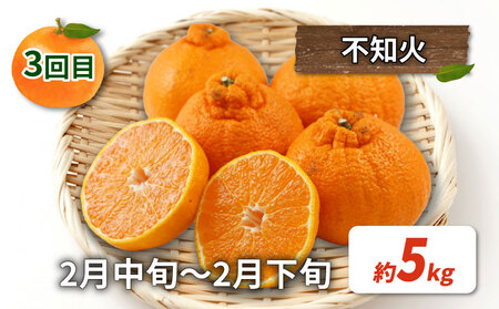 みかん定期便 訳あり 柑橘定期便 全3回 杉本屋 先行予約 わけあり 完熟みかん 柑橘 みかん ポンカン 不知火 完熟 温州みかん mikan 早生温州 温州 柑橘 蜜柑 産地直送 数量限定 国産 愛媛 宇和島 B030-143013