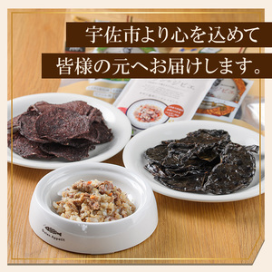 メゾンドジビエ ドッグフード 天然鹿肉と有機玄米のやわらかリゾット(計2.48kg・80g×31個) 鹿肉 無添加 無保存料 国産 小分け 常温 常温保存【113100300】【ネイト】