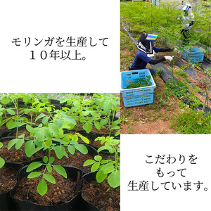 浜松産スーパーフード　モリンガ蒸し座浴用乾燥葉500g 