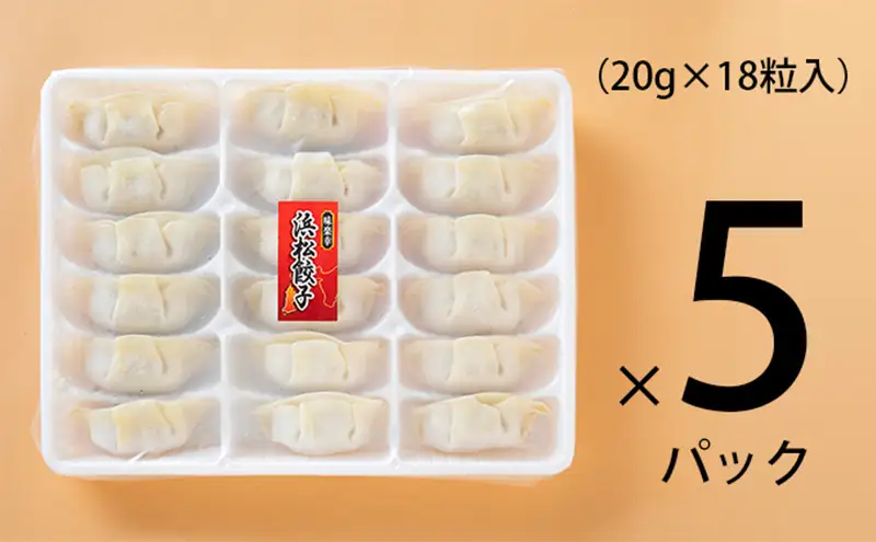浜松餃子 食肉マイスターが作った 食品添加物不使用 餃子 90粒 (18粒×5パック) セット 詰め合わせ ぎょうざ 餃子 ギョーザ 冷凍餃子 冷凍ぎょうざ 冷凍 冷凍食品 中華 惣菜 食品 おかず 保存料不使用 添加物なし 静岡 静岡県 浜松市