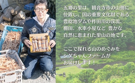 天然★ファッドウッド 肥松 着火剤 約600g入り 五郷の里産 