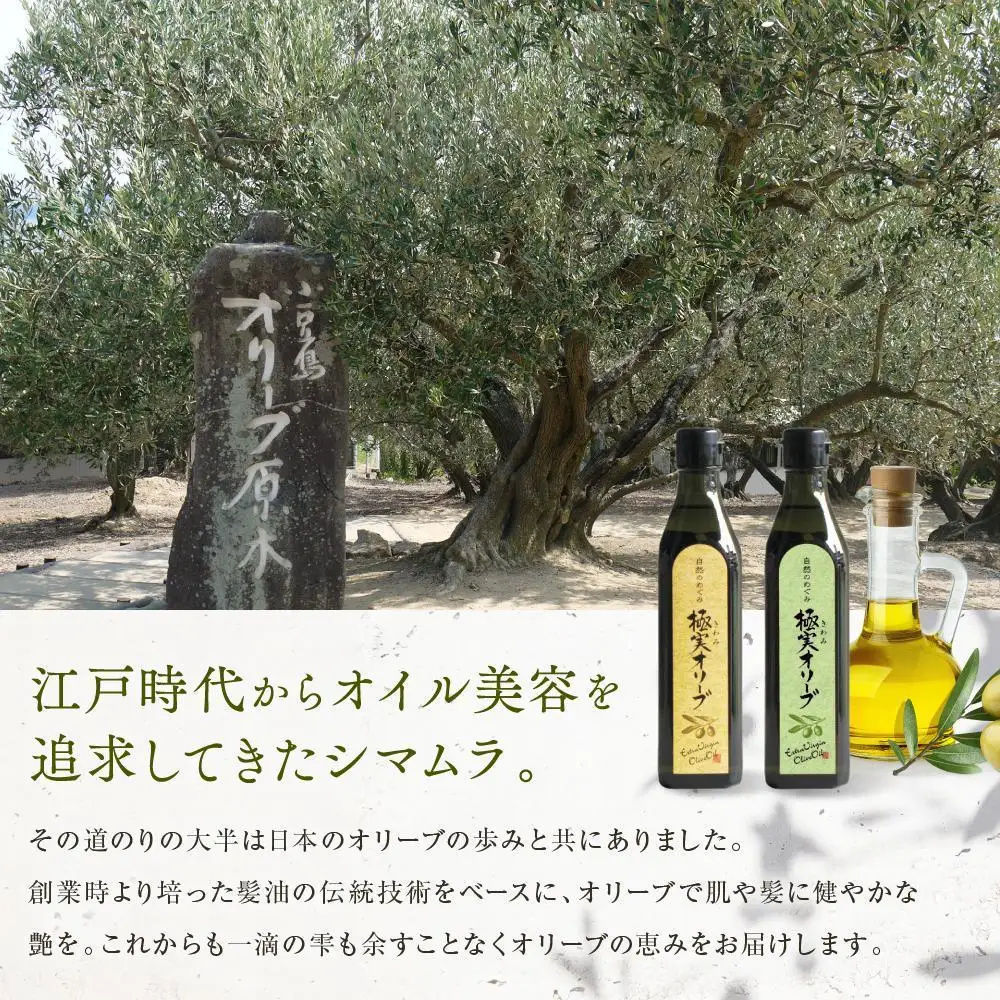 エキストラバージンオリーブオイル お試し4本セット【SM7】