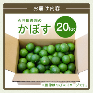 ＜先行予約受付中！2026年8月上旬以降順次発送予定＞かぼす(20kg)柑橘 かんきつ 大分県産直 期間限定【112600400】【ａｎｄＫ】