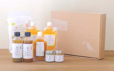 ミヤモトオレンジガーデンの「塩みかん 全種類 （7種） 詰め合わせ ギフト セット」 計900g みかん ミカン 温州みかん 調味料 ノンオイル ドレッシング ソース マリネ 寒天ゼリー ドロップス 詰め合わせ 贈答 愛媛 愛媛県 （469）