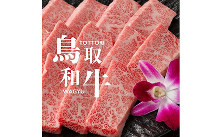 鳥取和牛A5等級　特選カルビ 500g 焼肉用・特製味噌ダレ付_T2600258