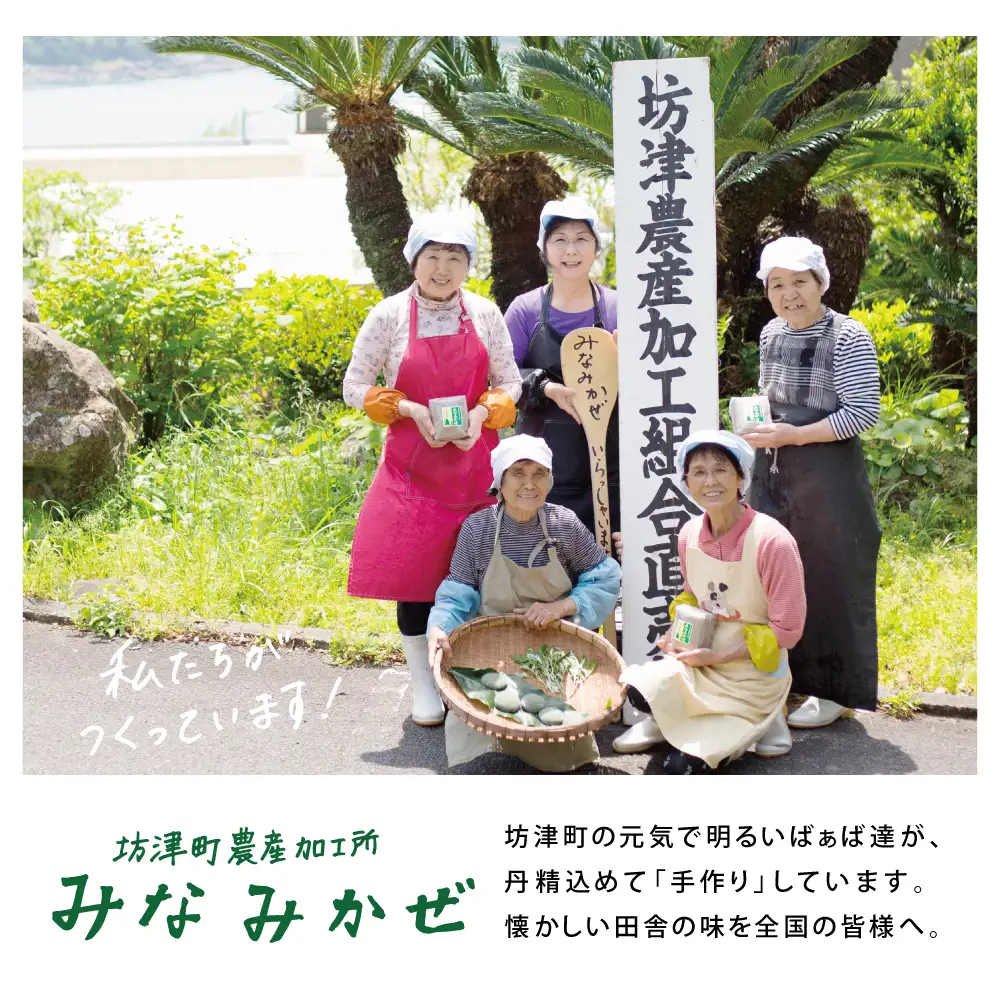 ばぁばの手作り】よもぎたくさん よもぎもち 3個入り×5袋 お餅 焼餅