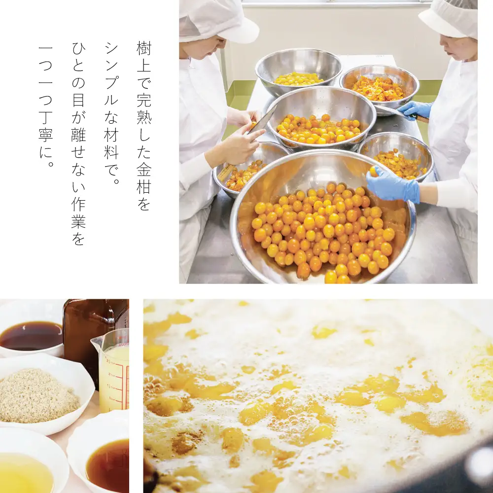 【鹿児島県南さつま市産】柑橘ジャム詰め合わせ10本（8種） きんかん ジャム マーマレード 朝食 パン ギフト 贈答用 清木場果樹園 南さつま市