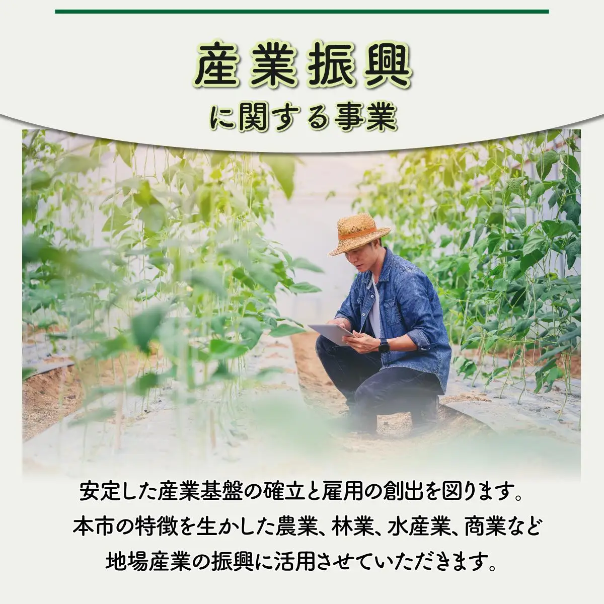 [5525-0997]伊達市 寄附のみ 応援受付 5,000円コース（返礼品なし 寄附のみ 5000円）
