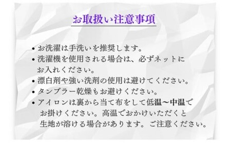 エプロン プリティーフリルエプロン フリーサイズ ギフト 衣類 キッチン  ラブリーグレイス 