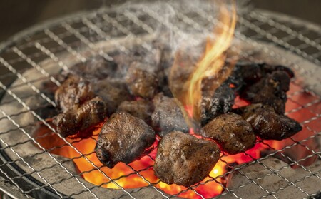 鶏肉 はかた地どり 炭火焼 セット 500g (100g×5p)  地鶏 鳥肉 博多 肉 ※配送不可：離島 