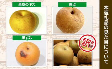 【先行予約】 訳あり 梨 荒尾梨 約 4.5kg ～ 5kg (6～18玉前後) 秋 旬 目野果実直売所《7月下旬-10月上旬頃出荷》熊本県 荒尾市産 なし フルーツ 果物 新鮮 愛甘水 幸水 秋麗 豊水 あきづき のいずれか 品種の指定不可 ご家庭用 美味しい梨 旬の梨 ジューシー梨 フルーツ梨