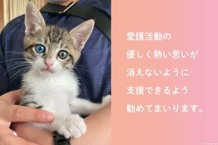 愛護支援、去勢・避妊治療支援 5000円 [Animal Care Salvation 福岡県 筑紫野市 21760768]