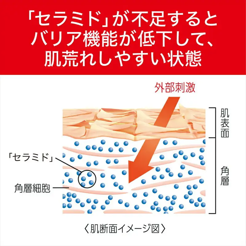 花王 Curel キュレル　エイジングケアシリーズ化粧水　１４０ｍｌ【美容 化粧品 コスメ 人気　スキンケア 化粧水　敏感肌　エイジングケア　年齢　うるおい　潤い　セラミドケア　ハリ　無香料　無着色　アルコールフリー　消炎剤　保湿　乾燥　肌荒れ　弱酸性　医薬部外品　神奈川県 小田原市 】