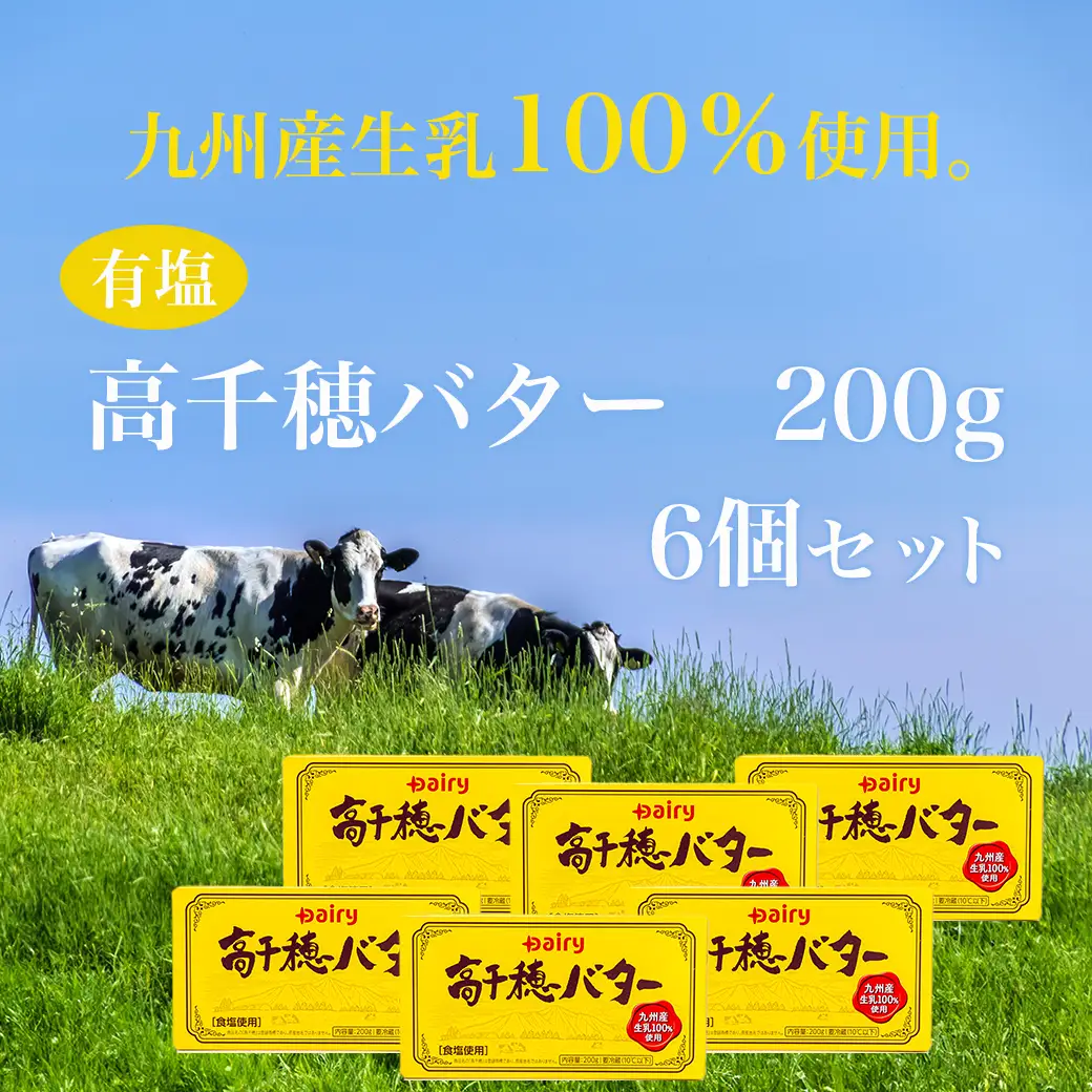 高千穂バター6個セット〔14-2302〕_(都城市) 高千穂バター 九州産生乳 有塩タイプ 爽やか スッキリ トースト 料理 お菓子づくり 熟練の職人 風味豊か とろける ジュワー 南日本酪農