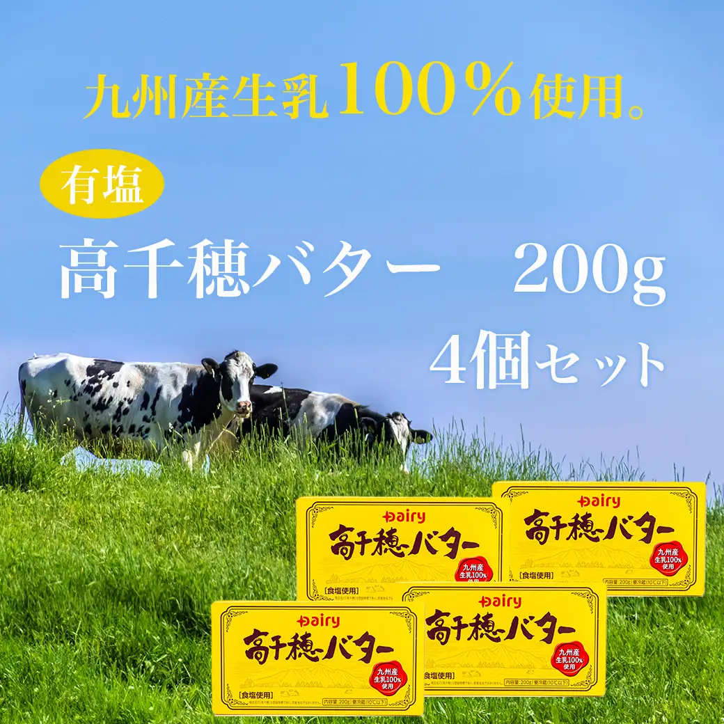 高千穂バター4個セット〔11-2302〕_(都城市) 高千穂バター 九州産生乳 有塩タイプ 爽やか スッキリ トースト 料理 お菓子づくり 熟練の職人 風味豊か とろける ジュワー 南日本酪農