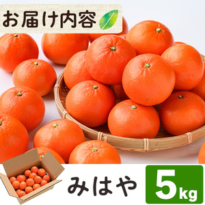 ＜先行予約受付中！2027年1月中旬から2月中旬の間に順次発送予定＞みはや(約5kg)みはや(約5kg)ハウス 樹成 完熟みかん 蜜柑 柑橘 かんきつ フルーツ 果物 くだもの【111600100】【永木農園】