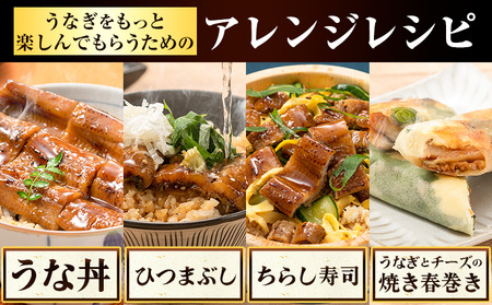 【最短3日発送】鰻蒲焼 5尾 きざみうなぎ付 