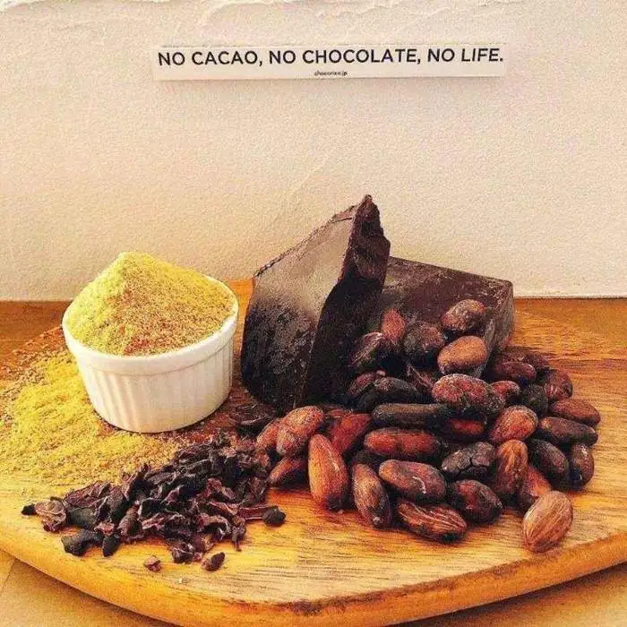 カラダの中からキレイに！グラノーラセット　chocorico