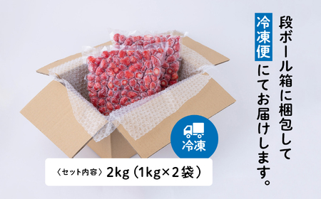 《 訳あり 》 冷凍いちご 大容量 規格外 不揃い 完熟 国産 採れたて 2kg 2袋 真空 個包装 バラ冷凍 ヘタなし 葉なし 冷凍 選べる いちご 苺 人気 送料無料【フルーツパークDETO】