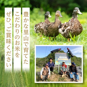 ＜令和7年産＞佐田の郷の米 慣行栽培米(10kg) お米 白米 ごはん ヒノヒカリ ひのひかり ブランド米 常温 常温保存【111700204】【雅設置プロジェクト　佐田の郷の会】