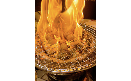 鳥取県産　焼肉セット 2.4ｋｇ (６?１０人前） ホルモン 丸腸 牛肉 豚肉 鶏肉 バーベキュー 鳥取産 BBQ ファミリーセット_T2600254
