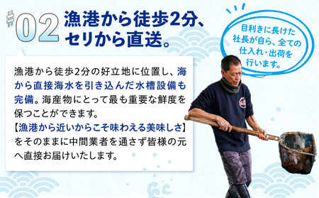 【天然】肉厚とり貝お刺身 とり貝【大９枚入り】５セット 岬だより