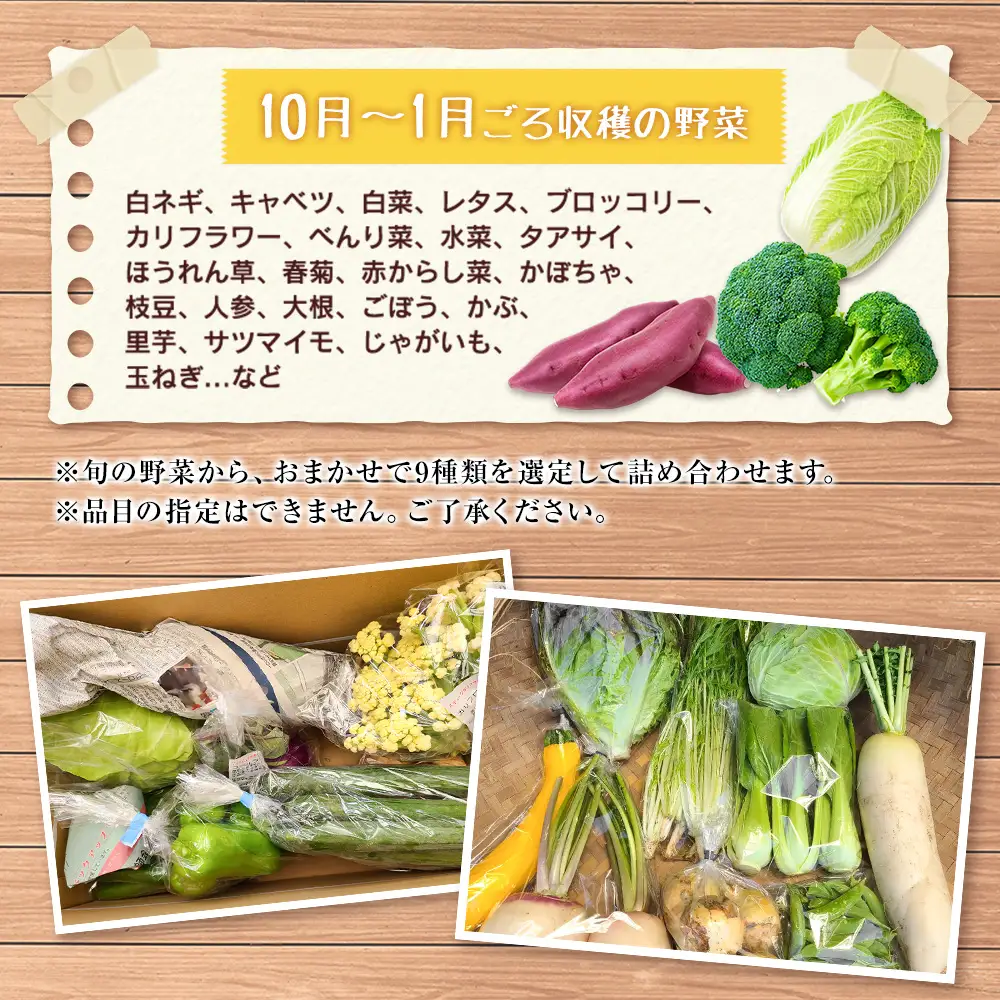野菜セット 詰め合わせ まるみど農園の季節のお野菜便 農薬使わずに育ててます 9種類 旬 農家直送 国産 送料無料_MA105_001