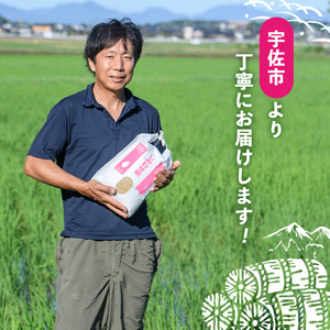 しあわせ米のあまざけ2種 贈答セット(赤×青)(合計1.8L・900ml×2本)甘酒 あまざけ 米糀 糀 発酵食品 飲む点滴 健康 美容 贈答 飲み比べ セット【101000102】【宇佐本百姓】