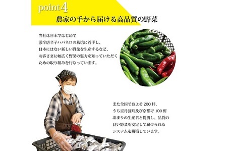 【野菜 12回 定期便】旬の京野菜セット 毎月お届けレギュラーコース（全12回）＆『葉酸たまご』6個入り×1パック×3回分付【 野菜 野菜定期便 野菜詰め合わせ 野菜セット 京野菜 】 [132KH001R]