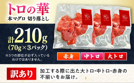 訳あり！対馬産 本マグロ 切り落とし 210g（3パック）トロの華 まぐろ トロ 刺身 [WAQ015]