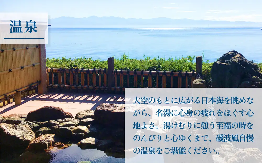 氷見温泉郷 なだうら温泉 元湯 磯波風 宿泊補助券 2万円分 富山県 氷見市 旅行 観光 宿泊 温泉 宿泊券 チケット クーポン 海鮮